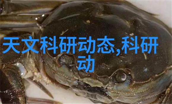 江西财经大学学术荟萃与经济智囊的摇篮