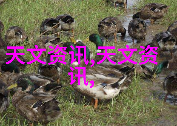 四川托普信息技术职业学院我在托普学IT你们呢