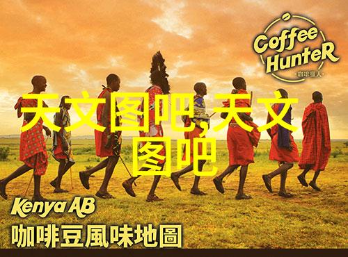 杀虫公司收费标准解析了解每坪费用与服务包差异