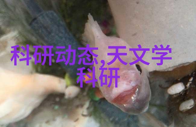 不锈钢卫生泵-防腐抗菌的选择不锈钢卫生泵在医院消毒系统中的应用