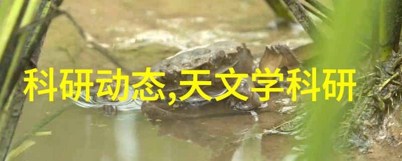 不锈钢拌料桶厨房中不可或缺的伙伴清洁耐用与健康选择