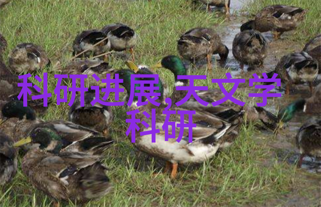 从零到英雄如何用一份可行性研究报告让你的创意飞天