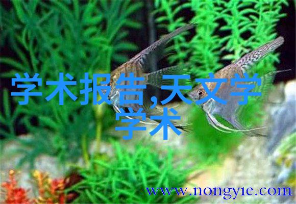 立邦涂料探秘建筑工程实习报告揭秘其卓越性能