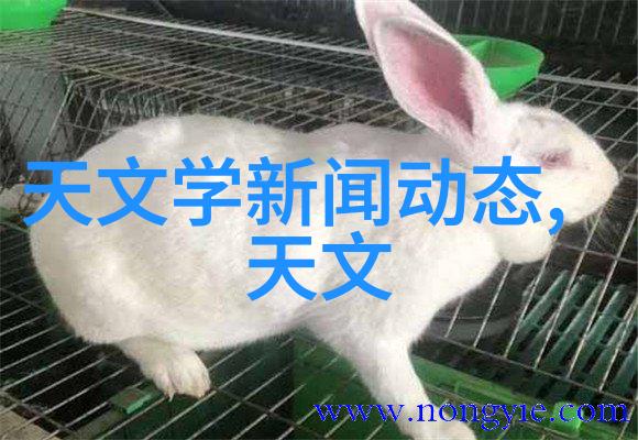 超级切割王揭秘圆钢切割最快的机器技术与应用