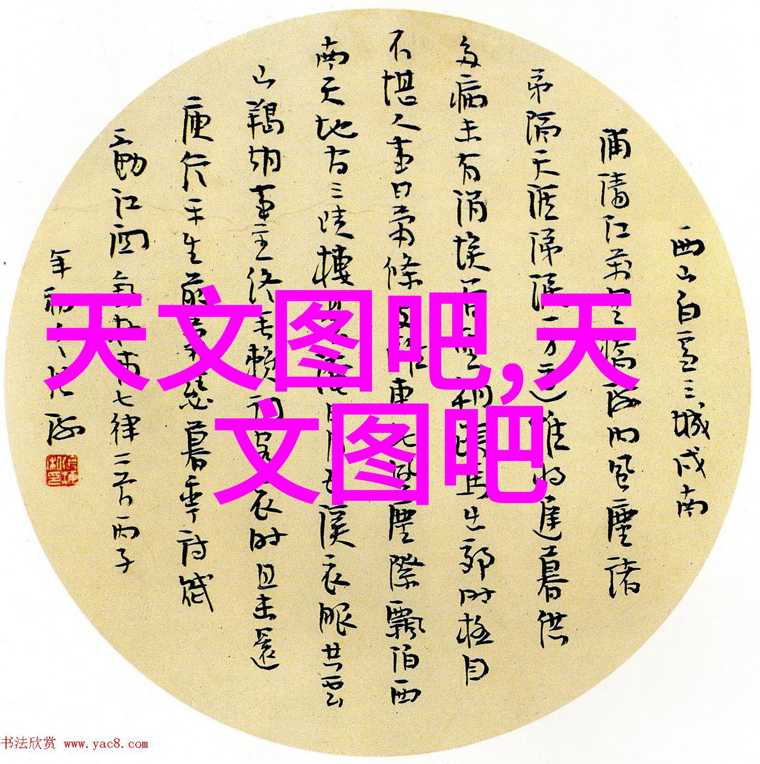 七零海岛日常碧波荡漾下的悠然生活