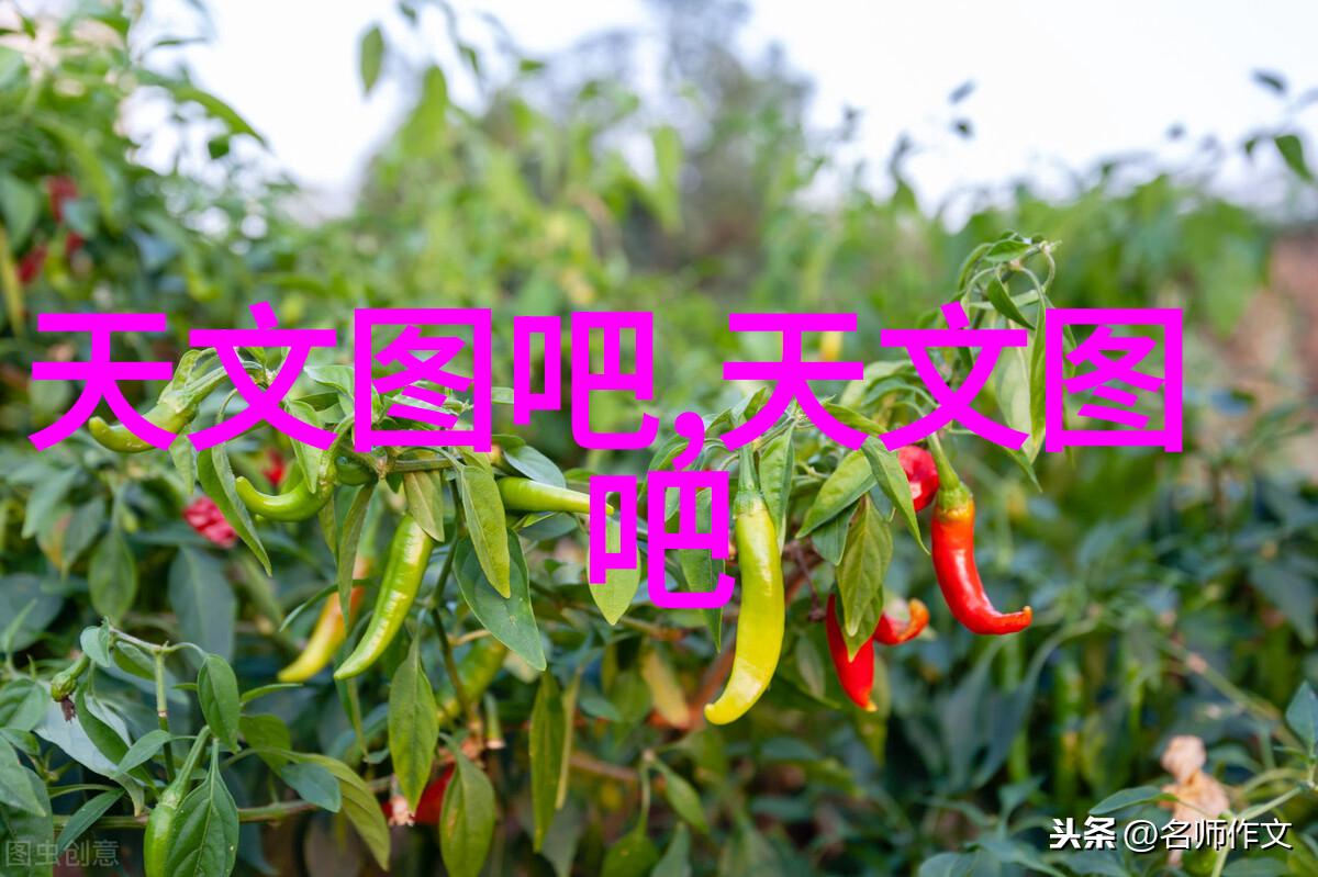 材料探索 - pert是什么管材揭秘高性能聚合物管材的世界