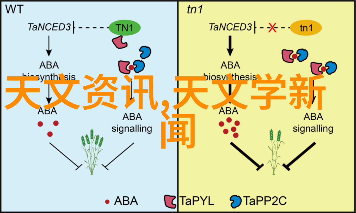 编织数字梦境IMTP填料技术的未来趋势探索