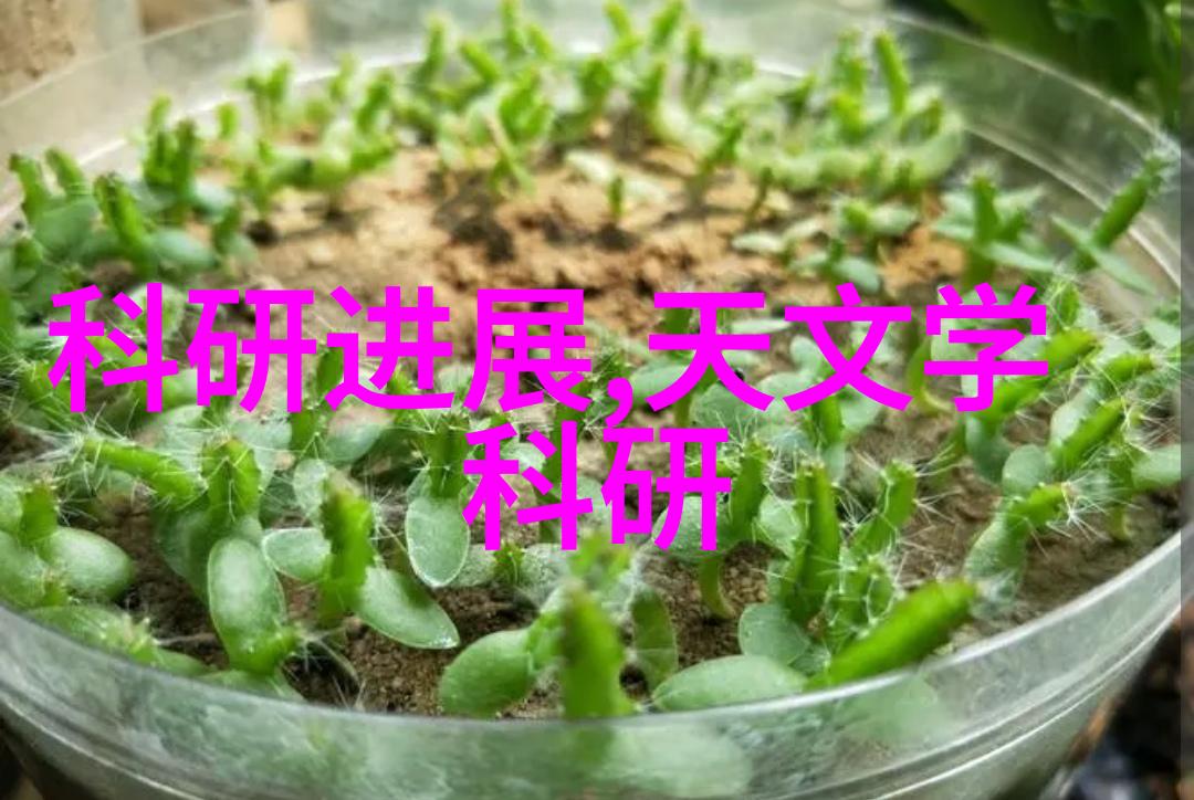 逆城关揭秘反渗透净化水设备的工作原理与应用广泛