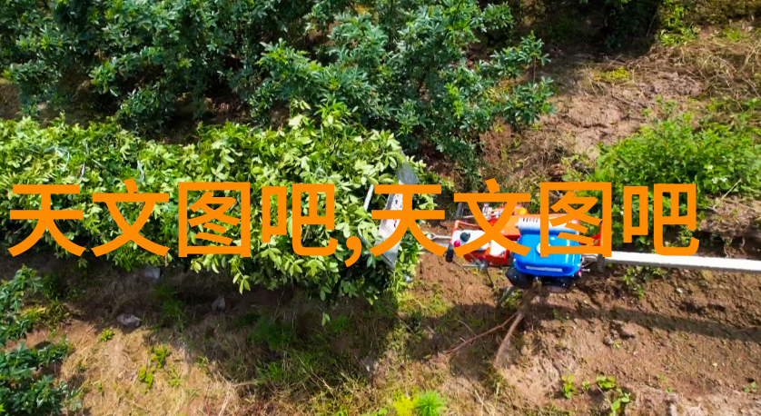 化工毕业生职业发展化学工程师研发经理环境监管专家