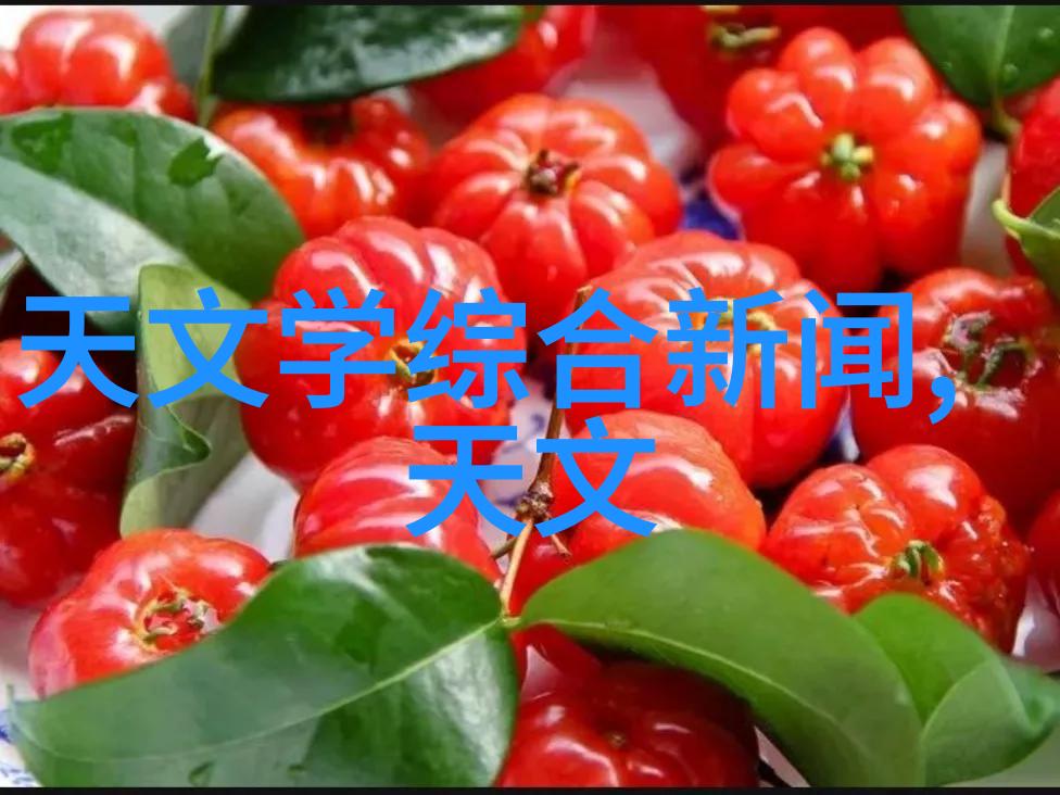 电子芯片生产商高性能集成电路制造商