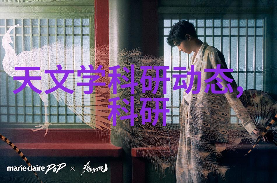 重庆财经职业学院在金融学科方面有哪些特色课程