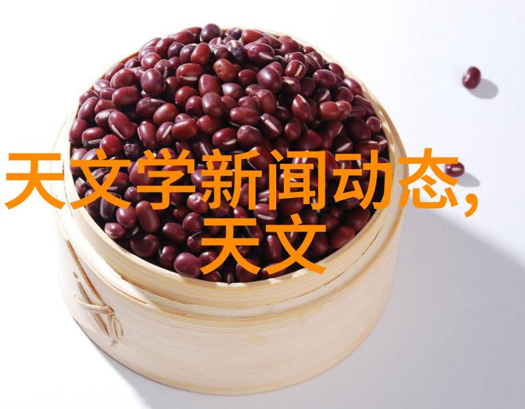 消杀公司业务范围全解析从日常清洁到专业防疫