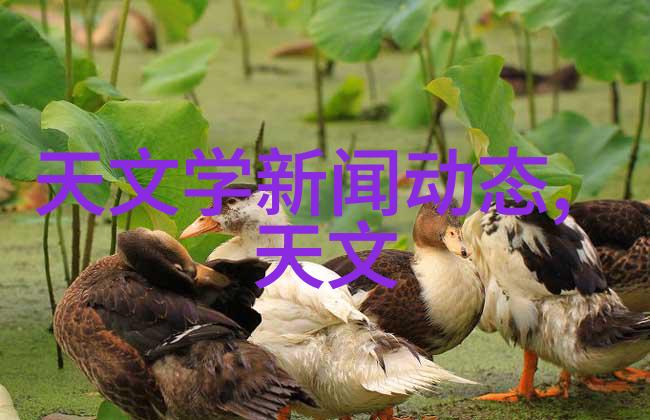 微波能量与杀菌效应的奇妙结合揭秘家用杀菌机的工作奥秘