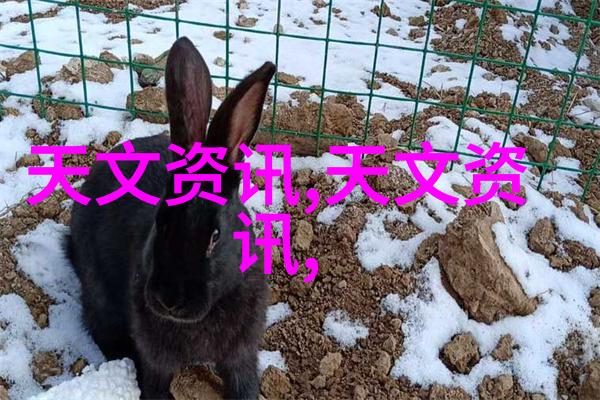 化学实验室玻璃仪器大全我来教你怎么挑选好货