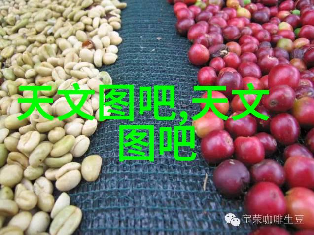 办公椅选购指南舒适性耐用性并重考量因素