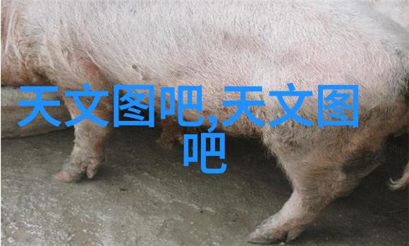工厂之心压力机的节奏与力量