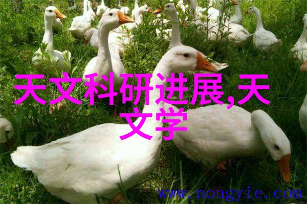 智能制造新篇章机器人工厂的未来之声
