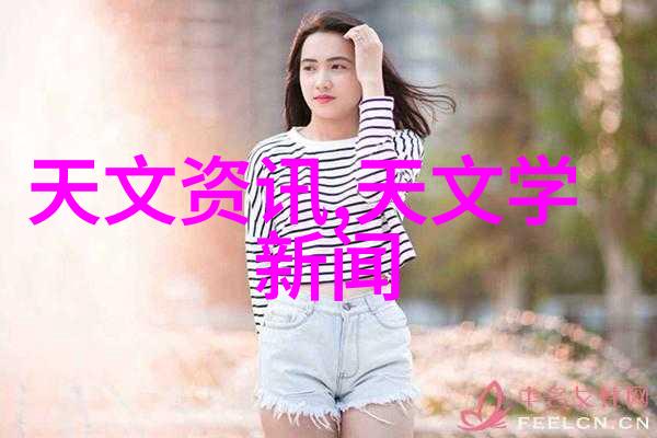 化学工艺高压计量之心脏