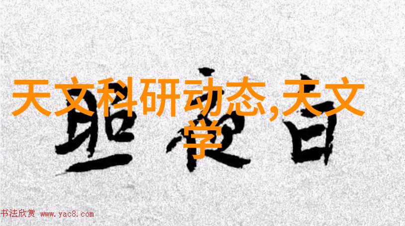 会议间谍的秘密使命