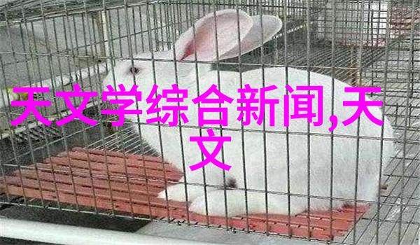 金鼎杀菌釜清洁之神的新篇章
