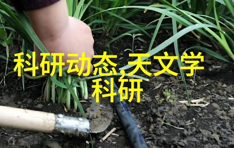 空气预热器维护小贴士延长设备寿命