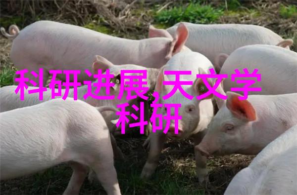 中国移动尚冰如同航天之翼将展翅建立5G创新基金激励着5G关键技术的研究与发展