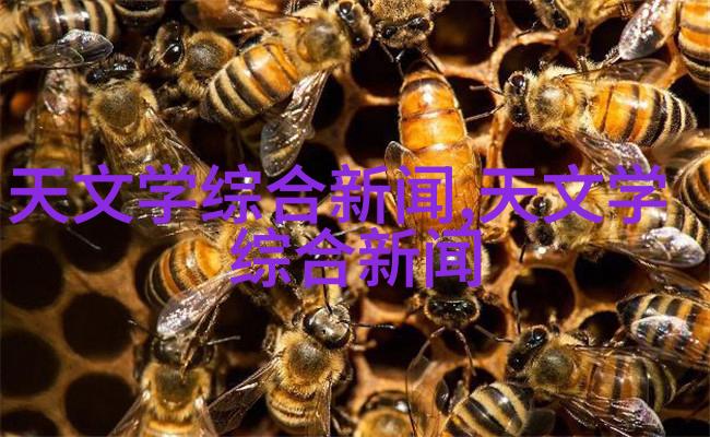 搅拌机