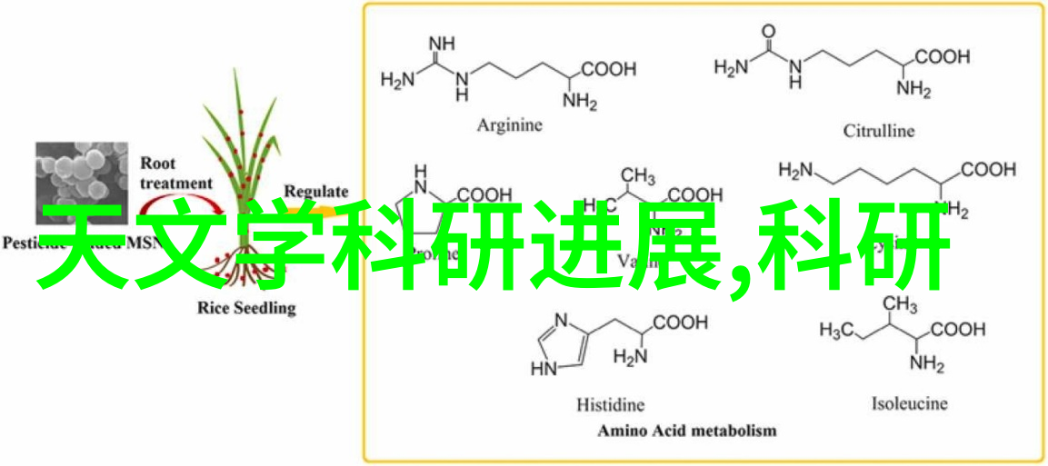 不锈钢斜管填料厂家剖析其在工业领域的独特优势与应用广泛性