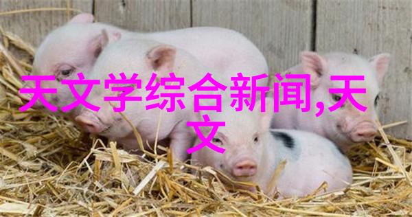 佛山美学追求传统与现代的完美结合