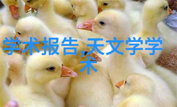 优化你的数字世界利用最好的工具从官方渠道获得你想要的所有更新