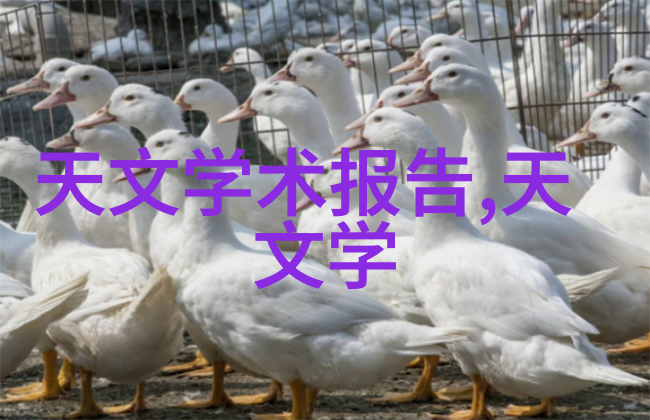 海王祭神秘传说与沉默的文明