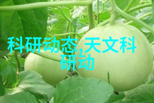 小型黄酒杀菌设备家庭酿酒的好帮手