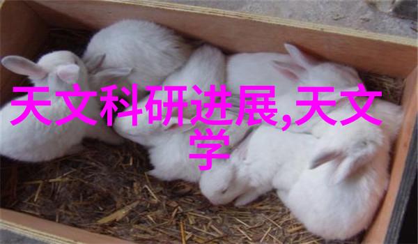 深度解析Sina财经如何在数字化转型中保持竞争力