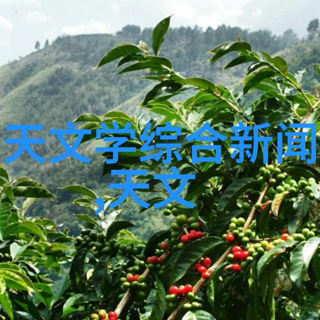 化工洁净室设备我是如何装配一套高效的防静电柜系统的