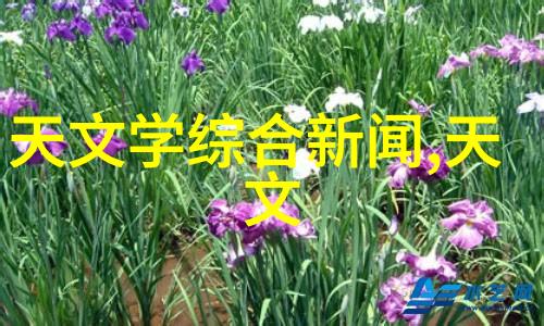 贵州一体化工业用净化水设备高效低价