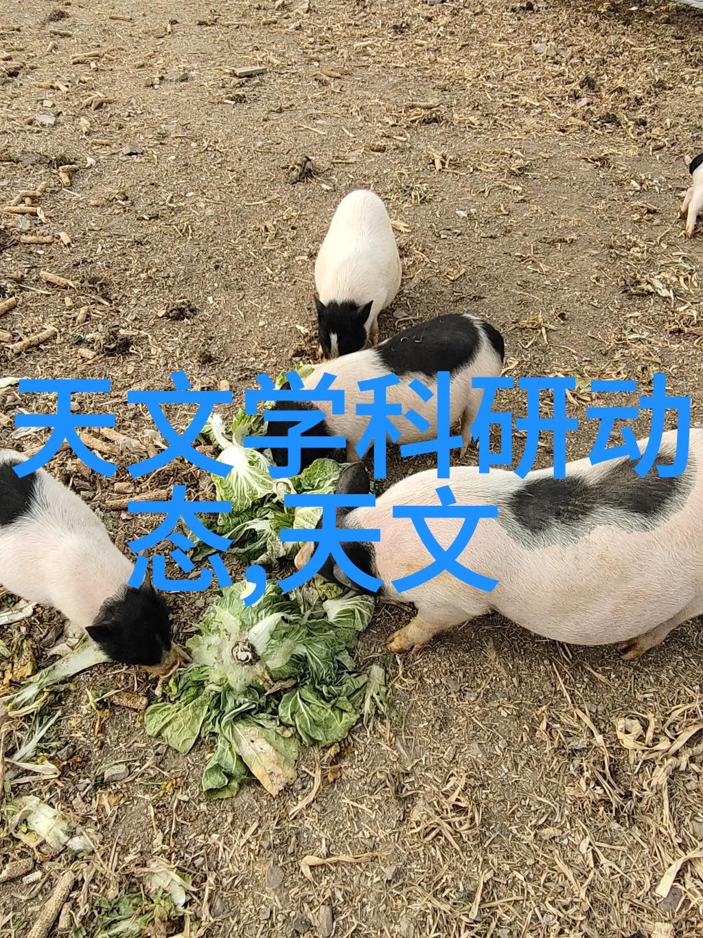 中国不锈钢制品生产基地中国的不锈钢工业之光
