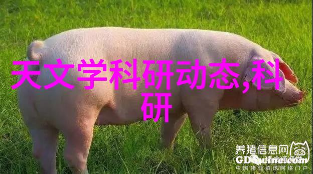 地埋式废水处理设备我的家里的污水处理小天使