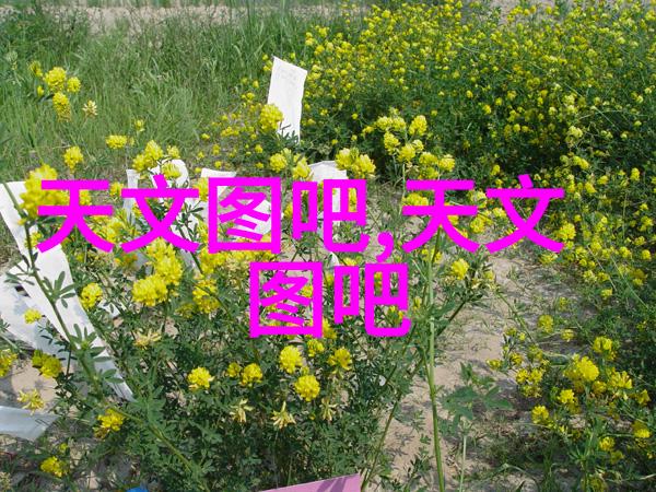 制造信息系统-智能化制造流程的数据驱动革新