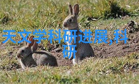 如果要对比一下中南财经政法大学与其他同类为985或211的高校比如复旦大学或北京交通大学它们各自有什
