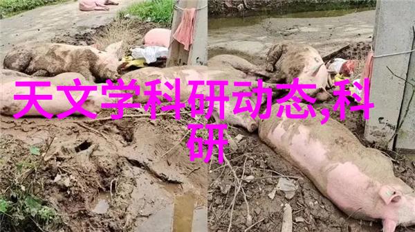 为什么需要定期检查卫生泵