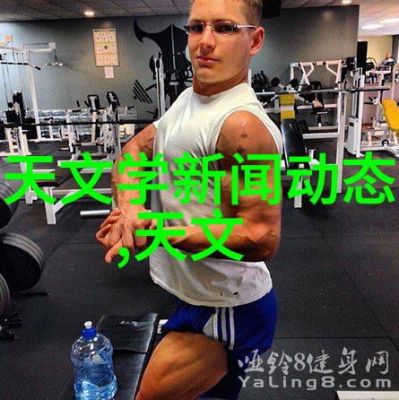 如何选择合适的弹性填料作为床垫或坐垫材料