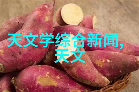 大型中药提取浓缩设备我的奇妙的中药浓缩之旅揭秘那些巨大的魔法机器