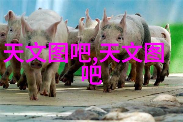 化肥破碎机的重要性与应用
