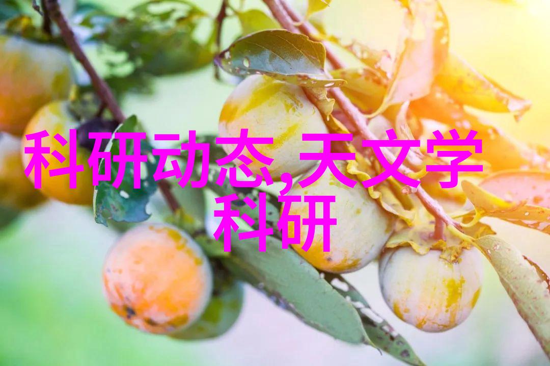 双锥回转真空干燥机高效节能的食品加工设备