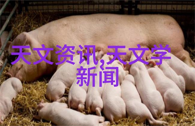 智能化时代的专家们引领智慧变革的先锋