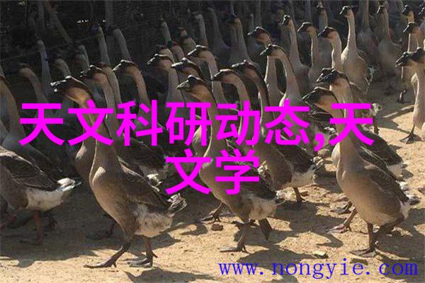 在智能交通展中我们可以看到哪些新兴的出行方式
