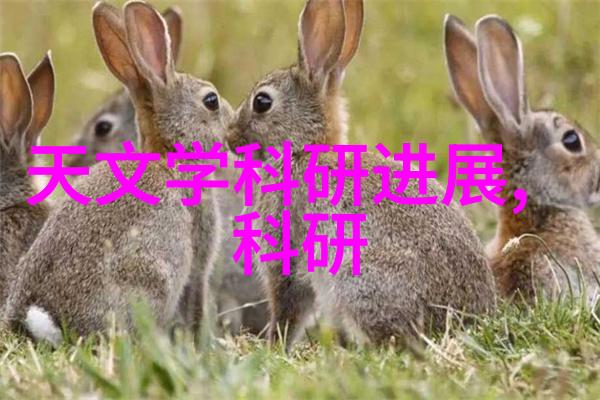 如何理解数字芯片在现代电子设备中的核心作用