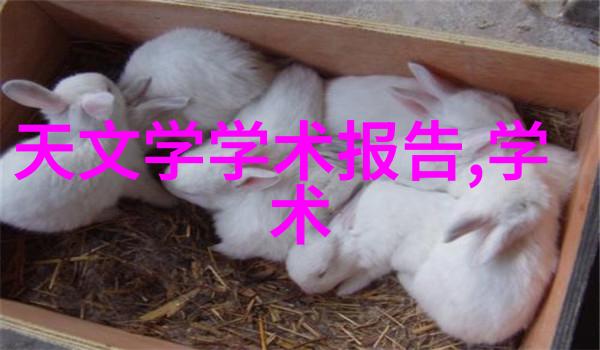 家居装饰的智慧100个创意点子