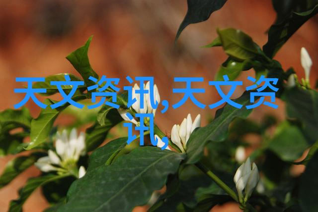 工业级油水分离过滤器高效除油设备