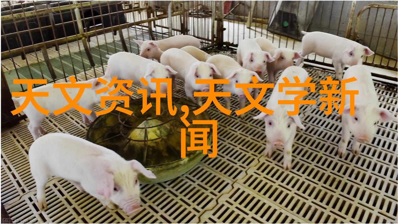 高效制备消毒水的小型化设备推荐汇总